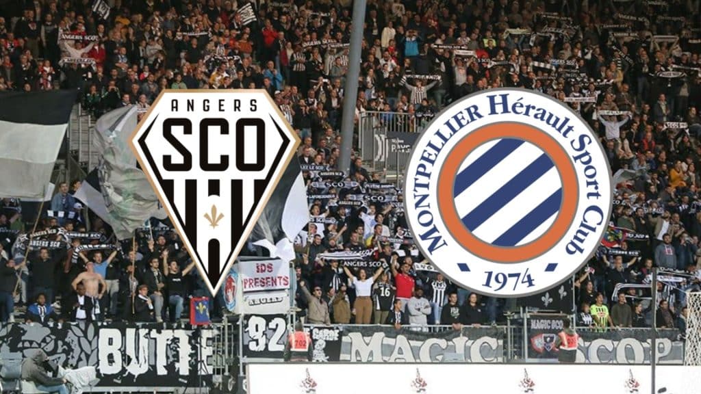 Angers x Montpellier: onde assistir ao vivo, hor&aacute;rio e escala&ccedil;&otilde;es