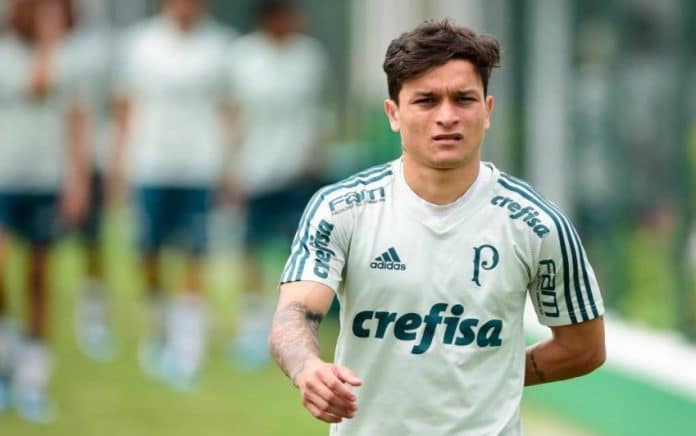 O bom filho a casa torna! Palmeiras contrata atacante que foi da base do Verd&atilde;o