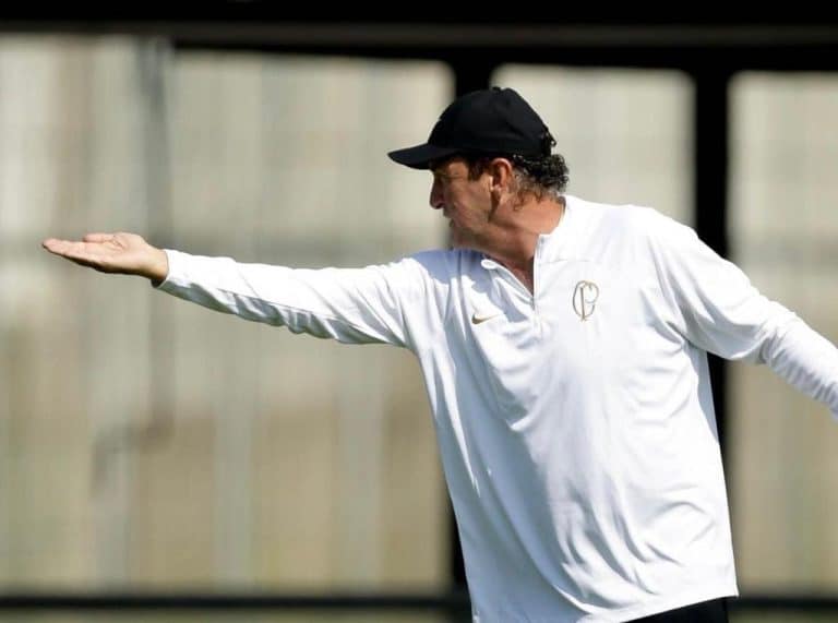 Dia da Dan&ccedil;a: veja os t&eacute;cnicos que j&aacute; dan&ccedil;aram nesta temporada