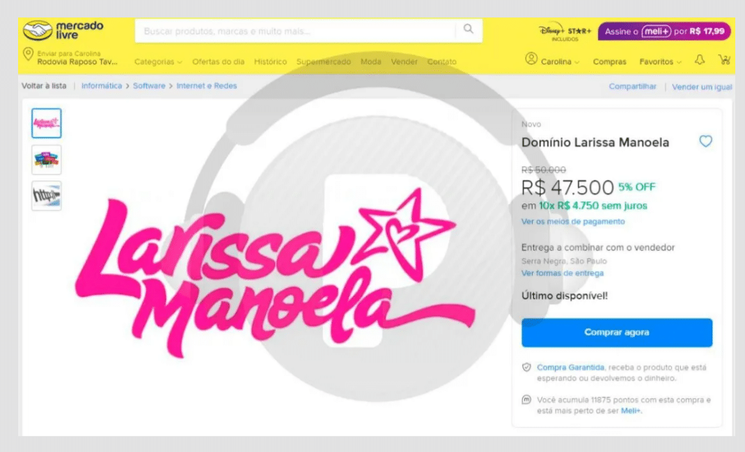 Larissa Manoela Palmeiras 