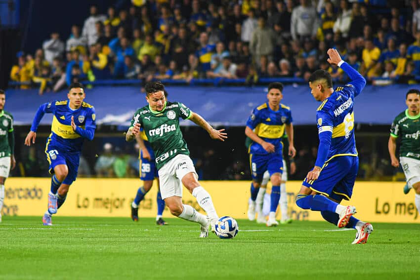 IH, SER&Aacute; ISSO MESMO? Gato vidente prev&ecirc; quem avan&ccedil;a pra final da Libertadores entre Palmeiras&nbsp;x&nbsp;Boca&nbsp;Juniors