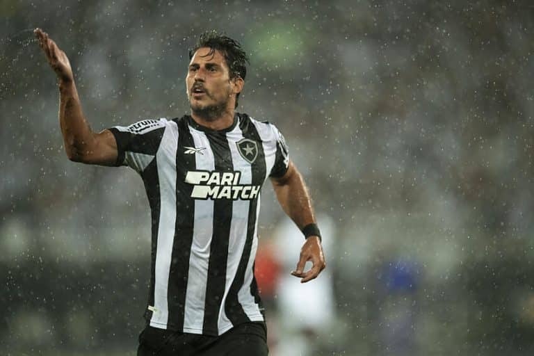 SER&Aacute; MESMO? Gato vidente aponta campe&atilde;o do Brasileir&atilde;o e pega todo mundo de surpresa